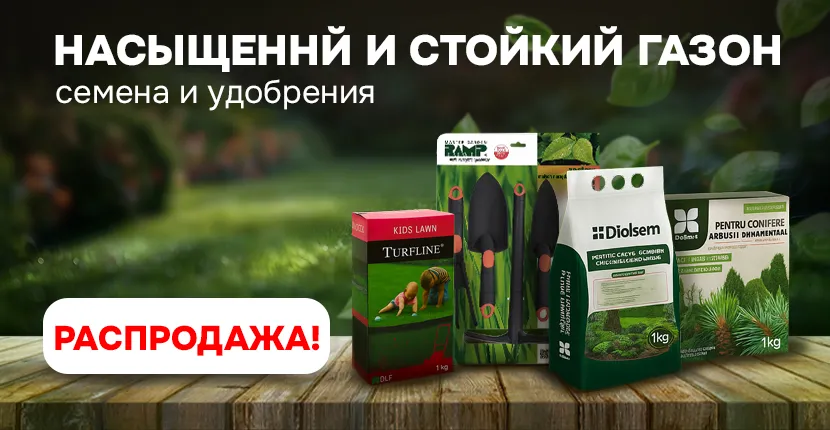 Насыщенный и стойкий газон - семена и удобрения на распродаже!