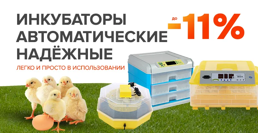 Надежные инкубаторы для гарантированного успеха!