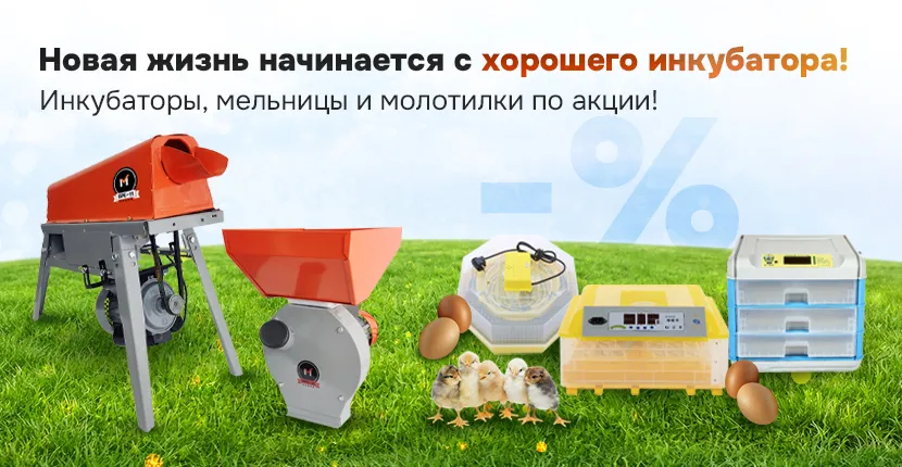 Новая жизнь начинается с хорошего инкубатора!