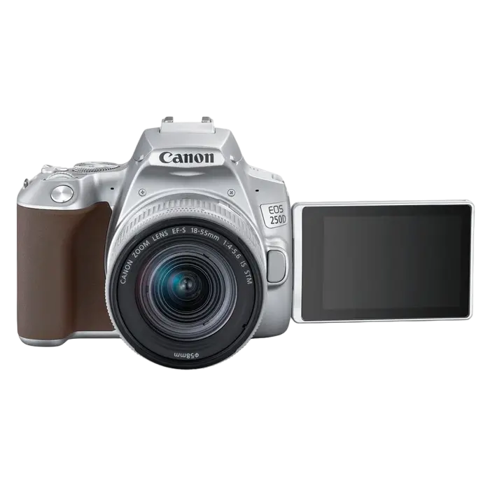 Aparat foto DSLR Canon EOS 250D + EF-S 18-55 IS, Argintiu