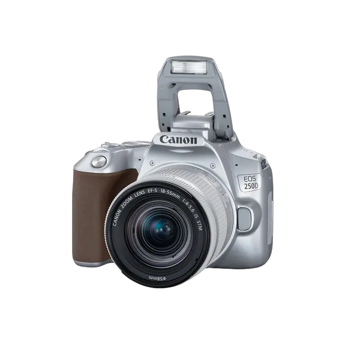 Aparat foto DSLR Canon EOS 250D + EF-S 18-55 IS, Argintiu