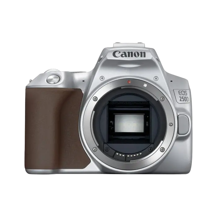 Aparat foto DSLR Canon EOS 250D + EF-S 18-55 IS, Argintiu