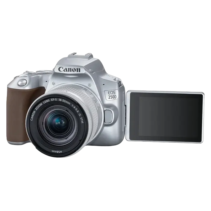 Aparat foto DSLR Canon EOS 250D + EF-S 18-55 IS, Argintiu