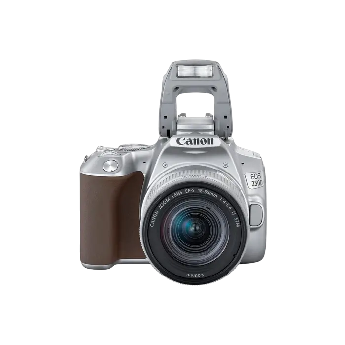 Aparat foto DSLR Canon EOS 250D + EF-S 18-55 IS, Argintiu