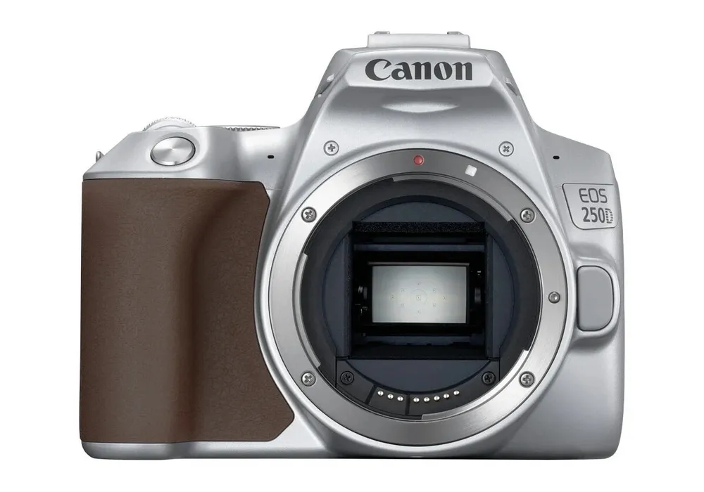 Aparat foto DSLR Canon EOS 250D + EF-S 18-55 IS, Argintiu