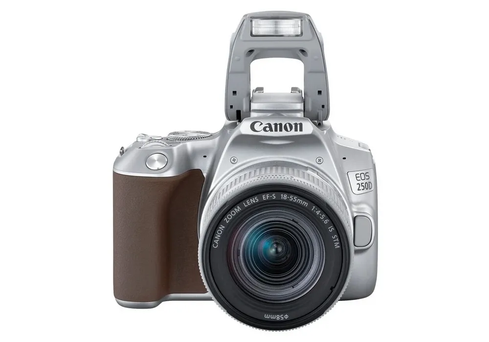 Aparat foto DSLR Canon EOS 250D + EF-S 18-55 IS, Argintiu