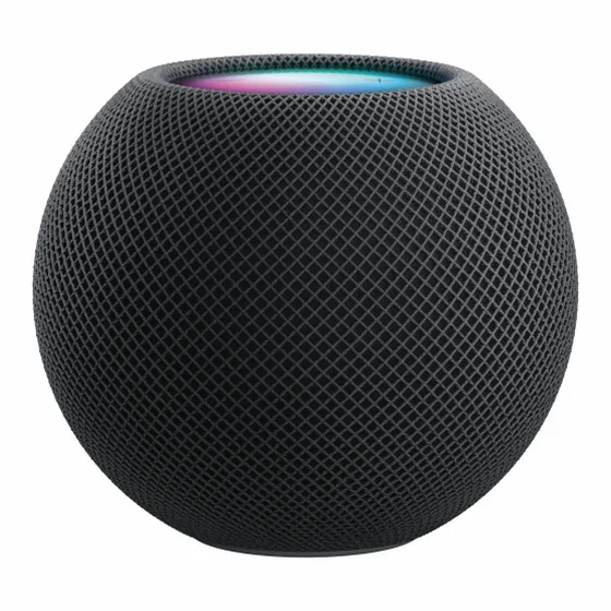 Difuzor Inteligent Apple HomePod mini, Gri