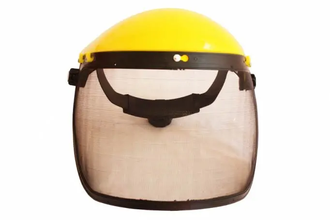 Viziera de protectie (plasa) Micul Fermier