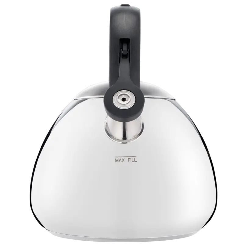 Ceainic Tefal K2481574, 2,7L, Oțel inoxidabil