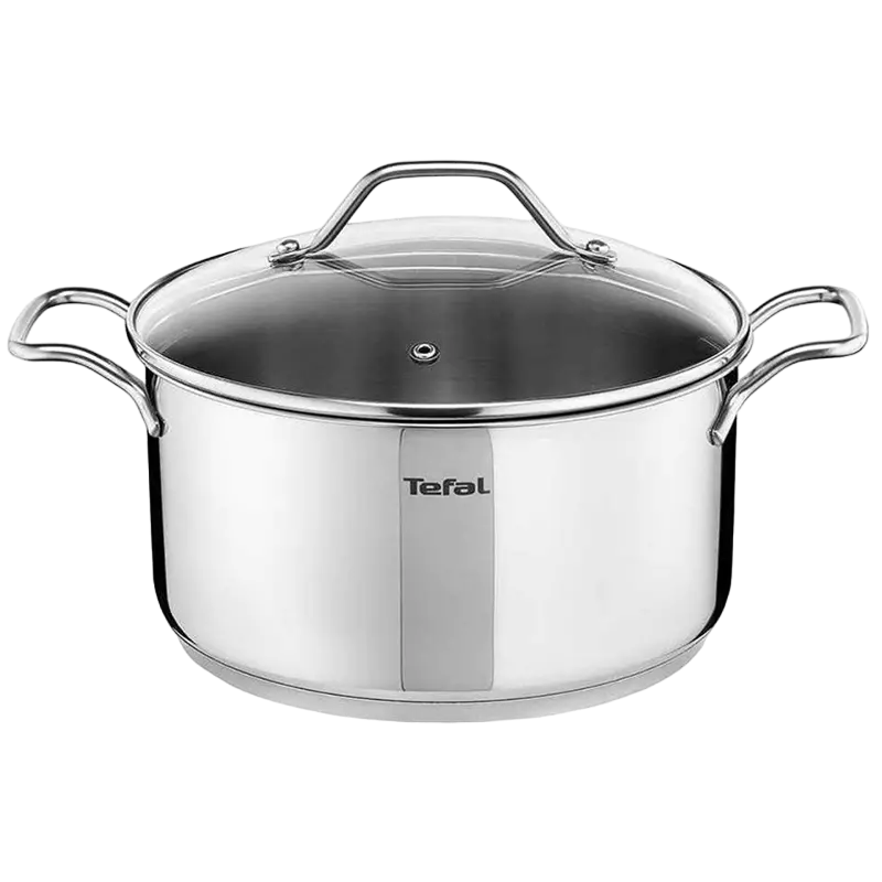 Кастрюля Tefal Intuition, 4,9л, Серебристый