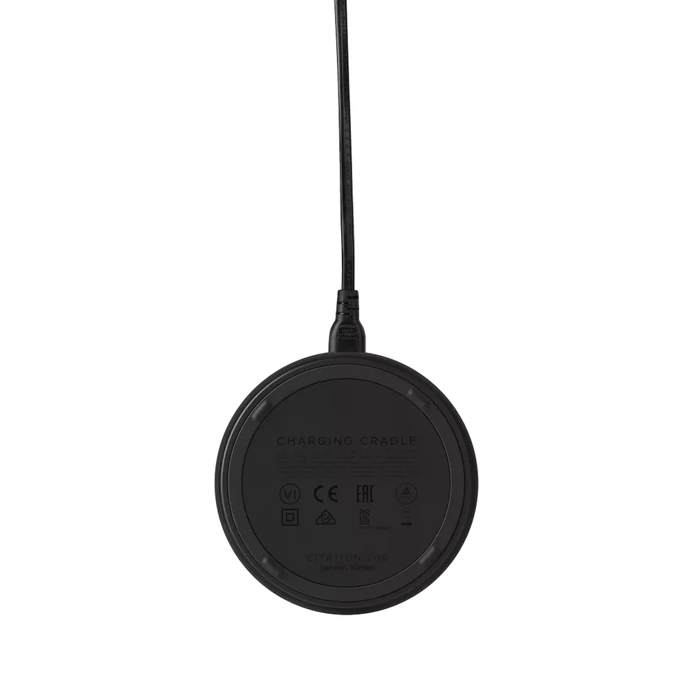 Портативная колонка Harman Kardon Citation 200, Чёрный