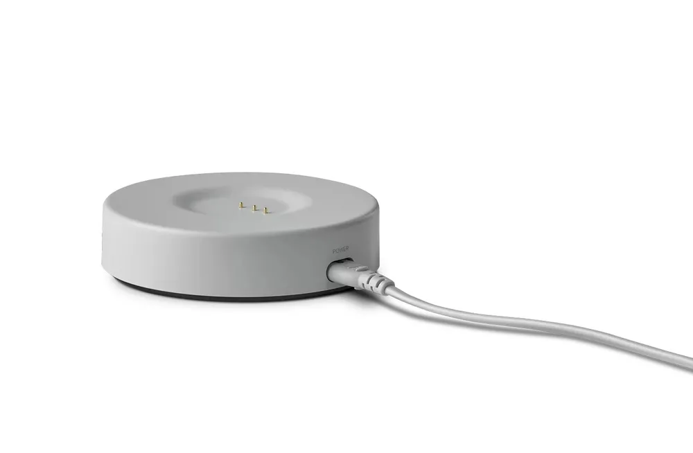 Портативная колонка Harman Kardon Citation 200, Серый