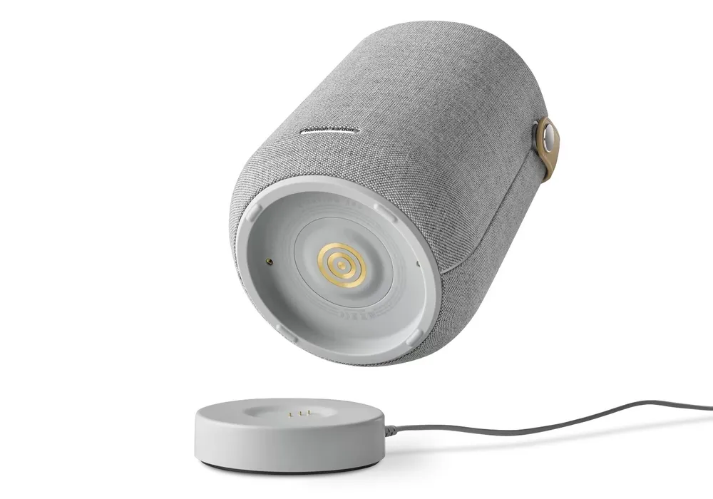 Портативная колонка Harman Kardon Citation 200, Серый