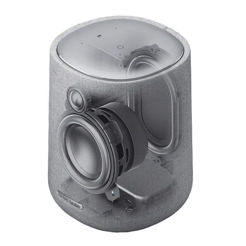 Портативная колонка Harman Kardon Citation One, Серый