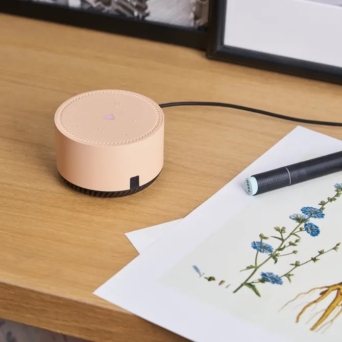 Портативная колонка Yandex YNDX-00025, Капучино