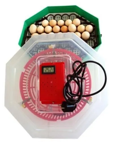 Incubator cu dispozitiv de intoarcere oua si termometru CLEO5DT/ INC3 (84362100)