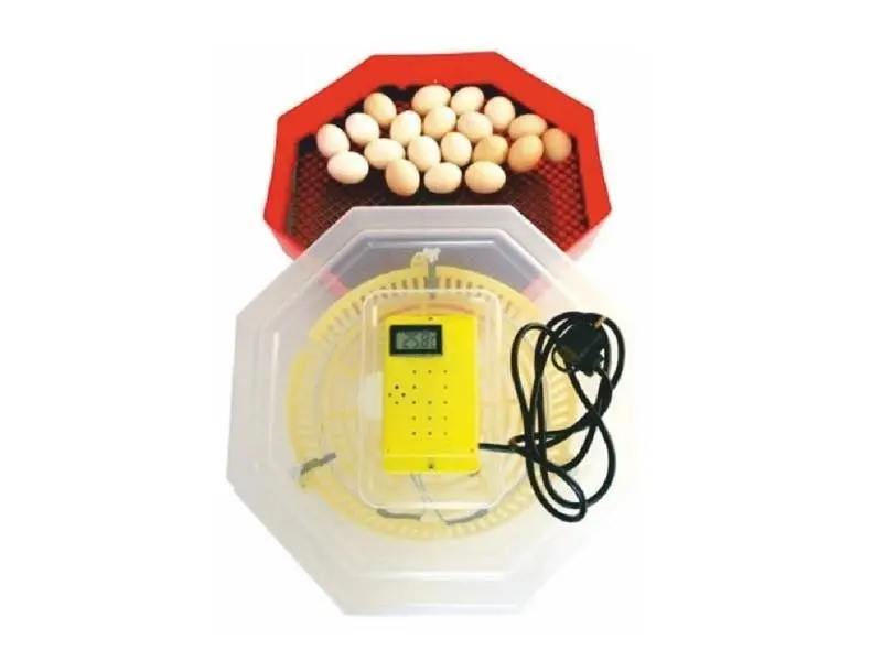 Incubator electric cu termometru CLEO5T/INC4 (84362100)