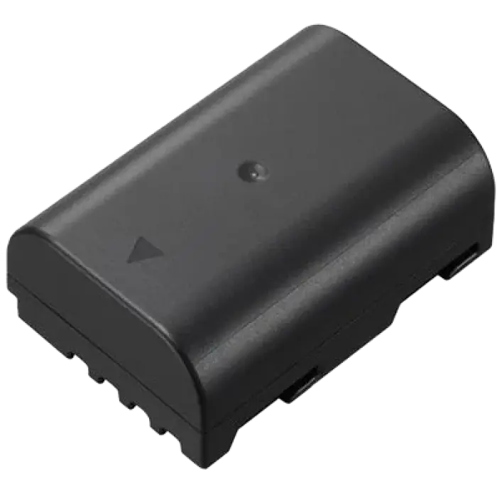 Battery pack Panasonic DMW-BLF19E