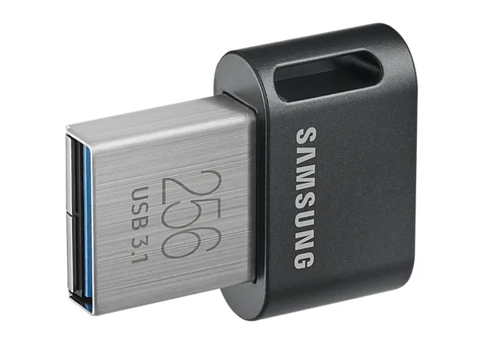 USB Flash накопитель Samsung FIT Plus, 256Гб, Серый