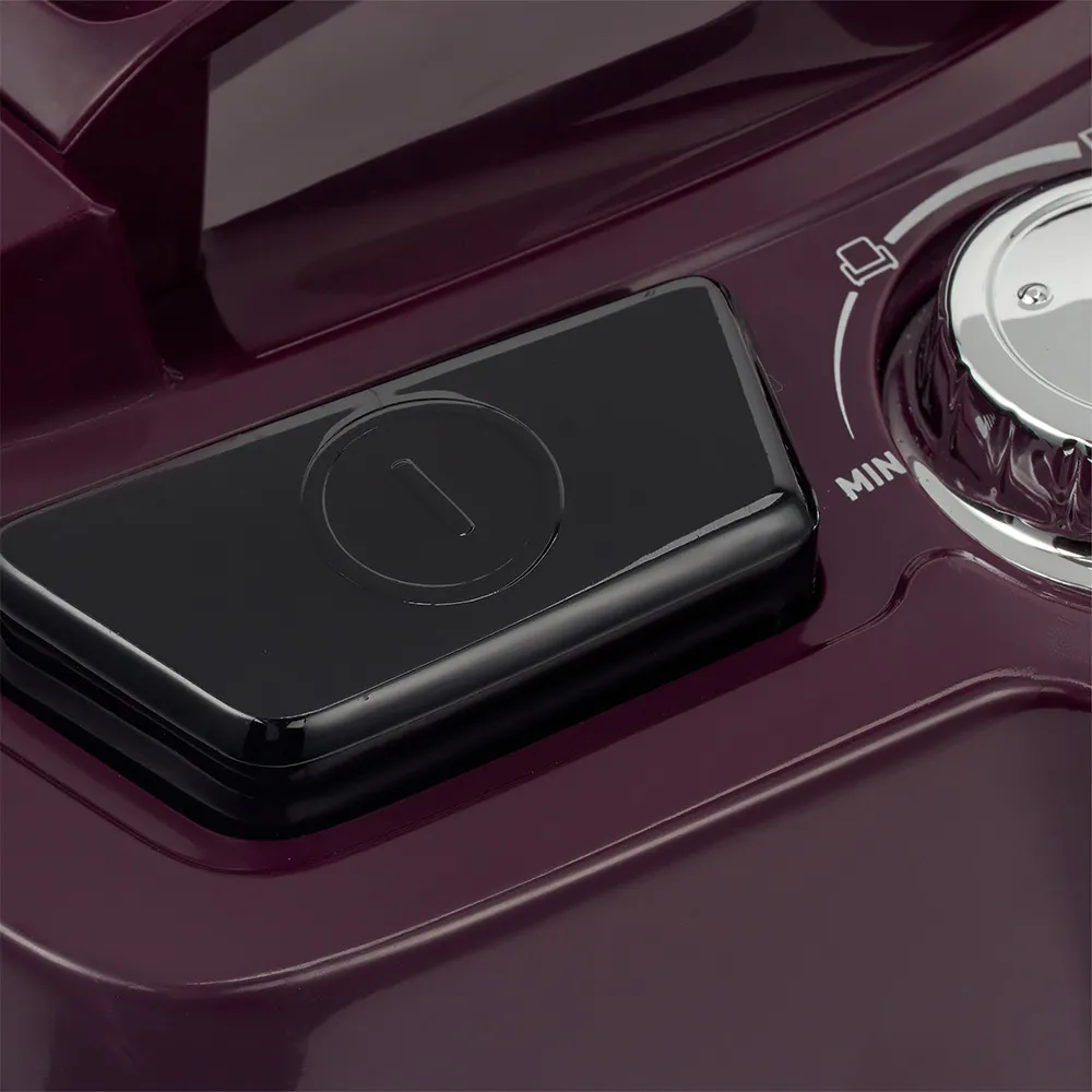 Aspirator Polaris PVC 2015, Violet