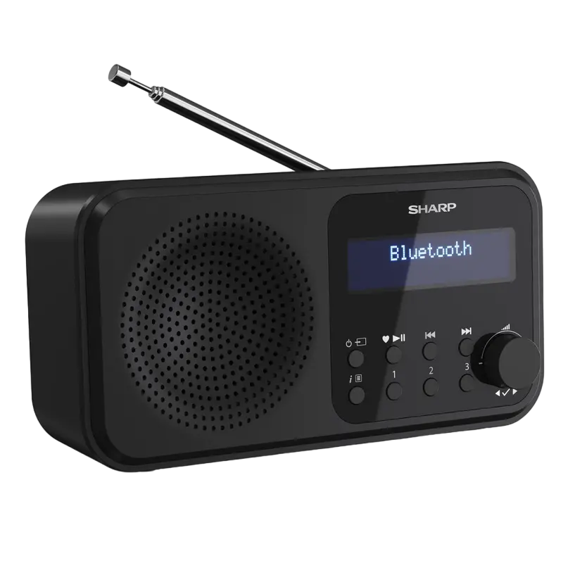 Портативное радио Sharp DR-P420BKV01, Чёрный