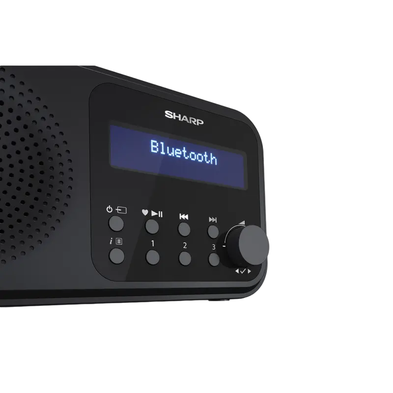 Портативное радио Sharp DR-P420BKV01, Чёрный
