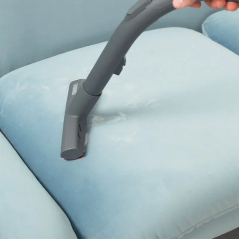 Aspirator Thomas Pet & Family Plus, Portocaliu | Alb