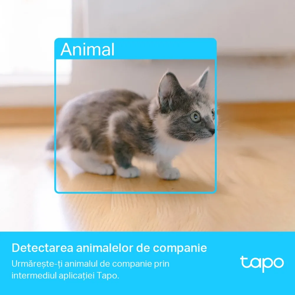 Camera de supraveghere Smart TP-LINK TAPO C225, Alb