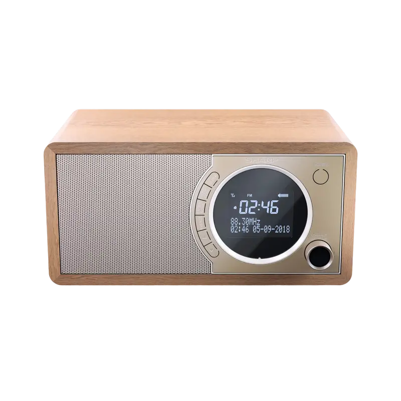 Портативное радио Sharp DR-450BRV03, Коричневый