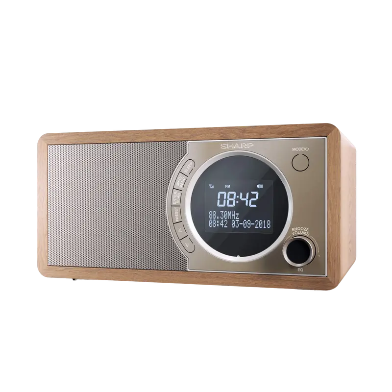 Портативное радио Sharp DR-450BRV03, Коричневый