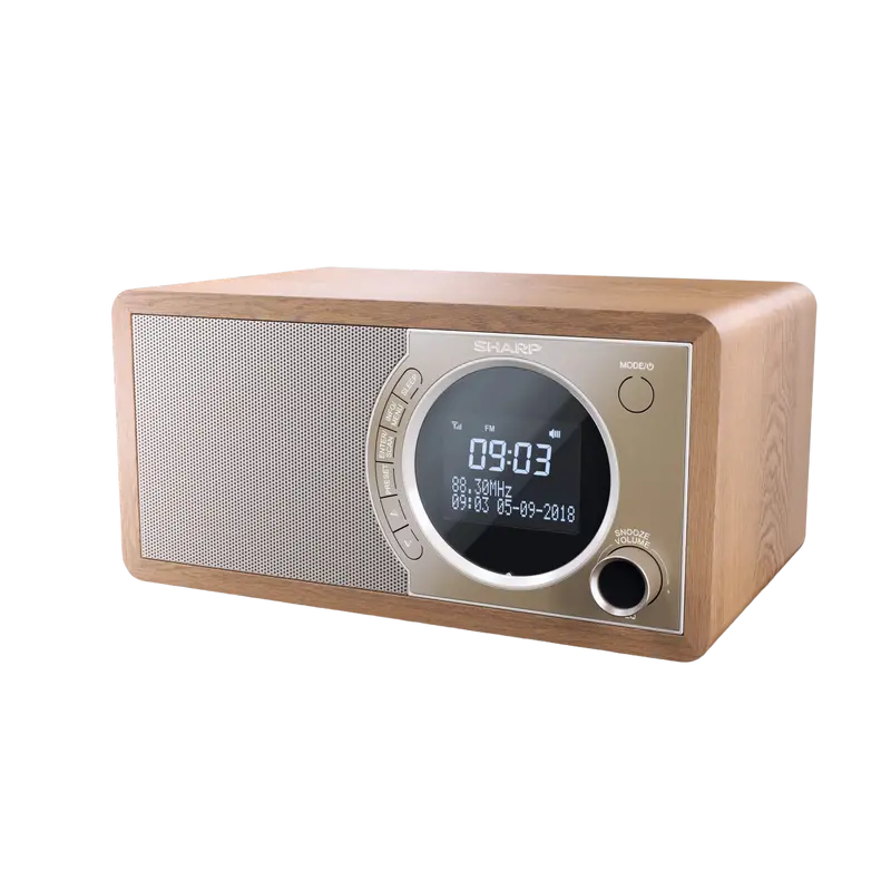 Портативное радио Sharp DR-450BRV03, Коричневый