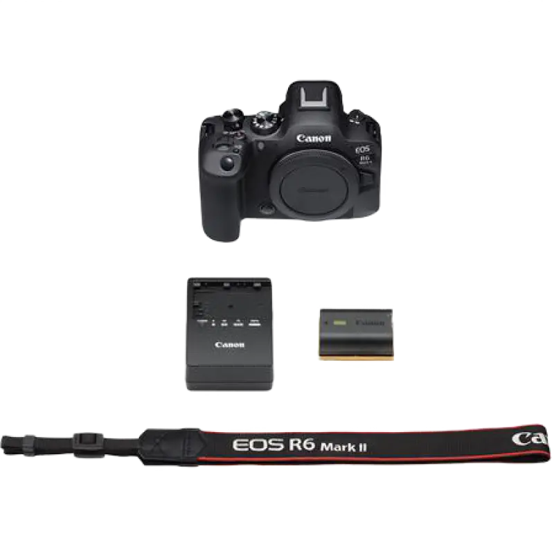 Aparat Foto Mirrorless Canon DC EOS R6 MARK II BODY, Negru