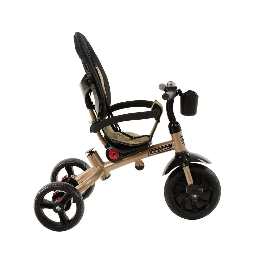 Bicicletă cu trei roți Makani Xammy, 