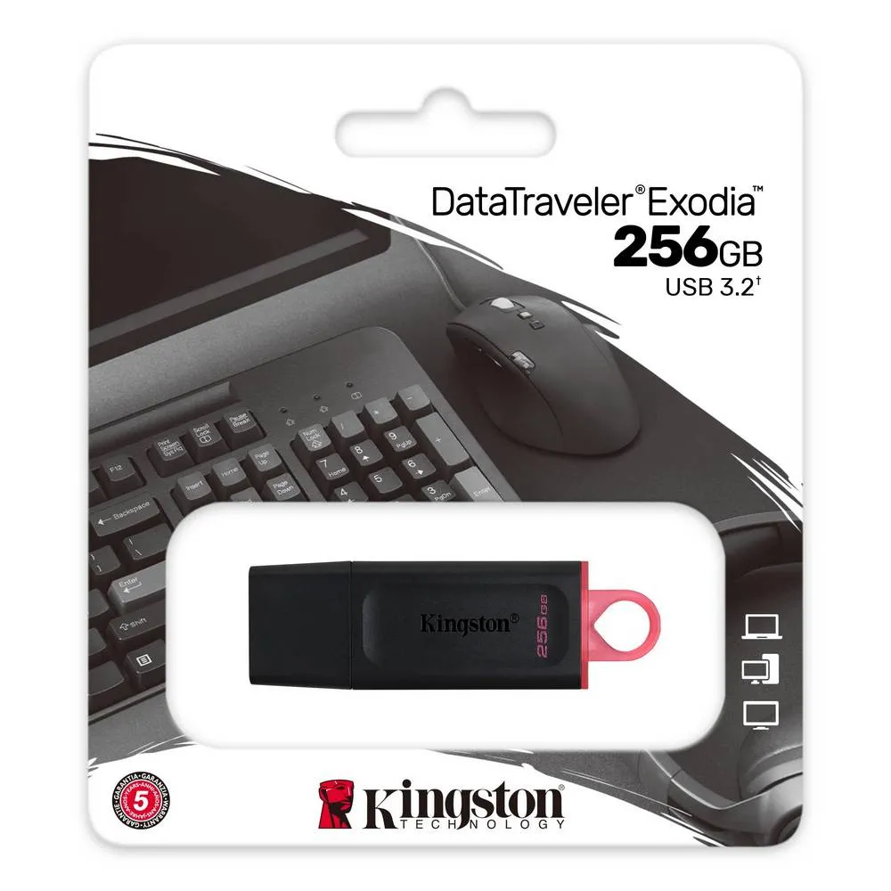 USB Flash накопитель Kingston DataTraveler Exodia, 256Гб, Чёрный