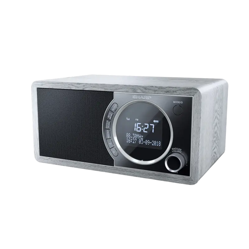 Портативное радио Sharp DR-450GRV02, Grey