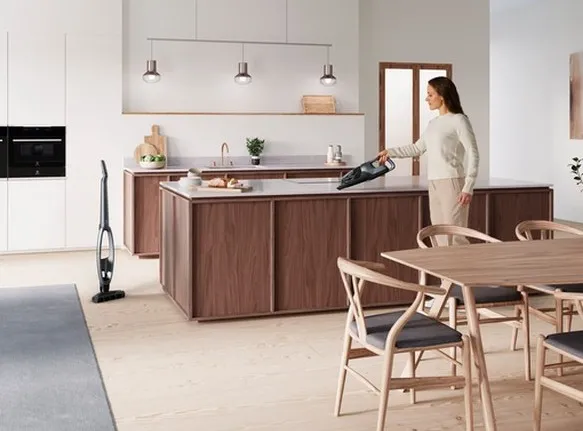 Aspirator Vertical Electrolux WQ81-PANIM, Gri