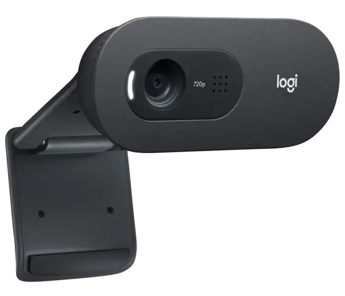 Cameră Web Logitech C505e, HD 720p, Negru