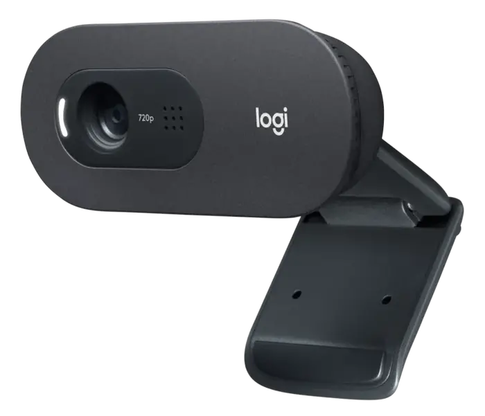 Cameră Web Logitech C505e, HD 720p, Negru