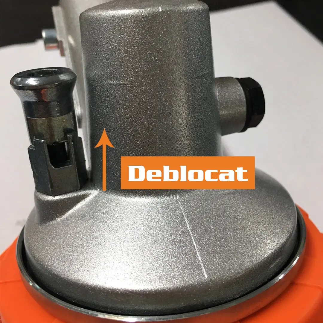 Motocoasa Ruris 731C