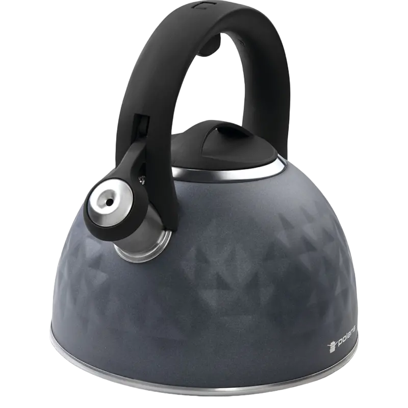 Ceainic Polaris Kontur, 3L, Gri