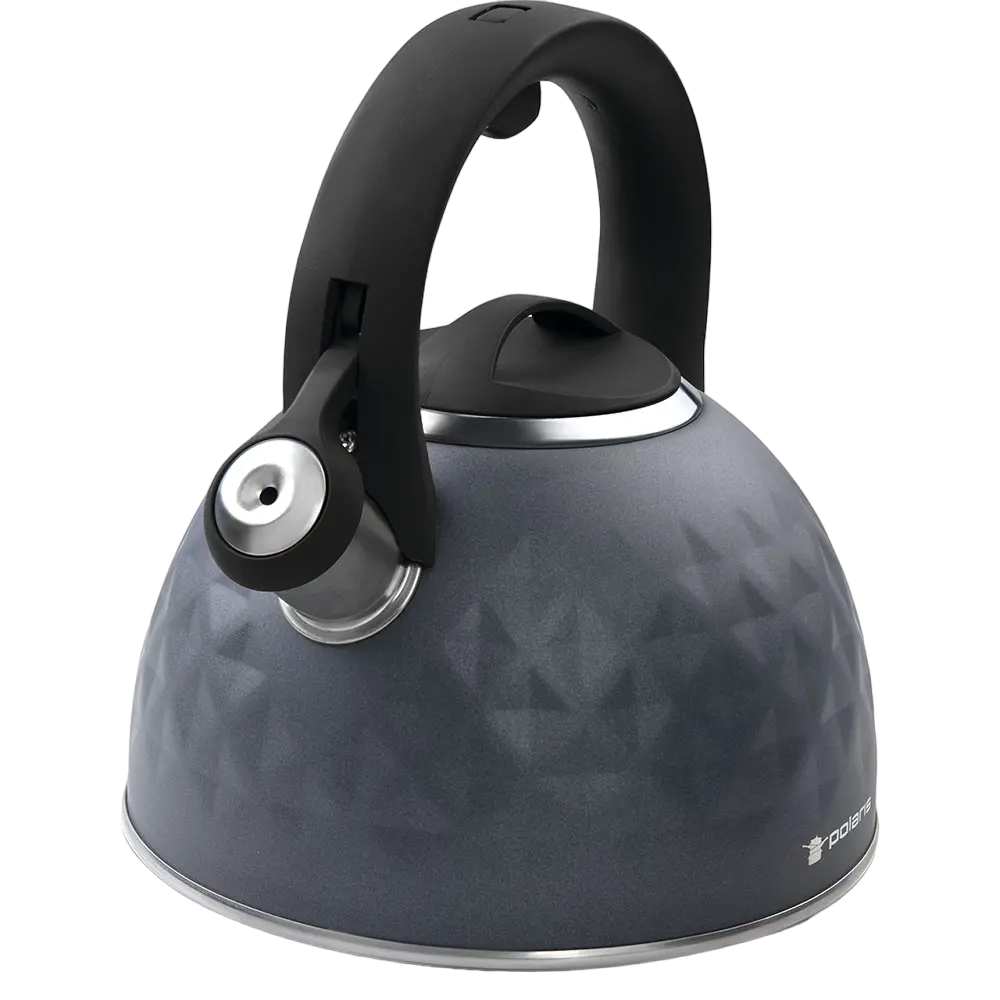 Ceainic Polaris Kontur, 3L, Gri