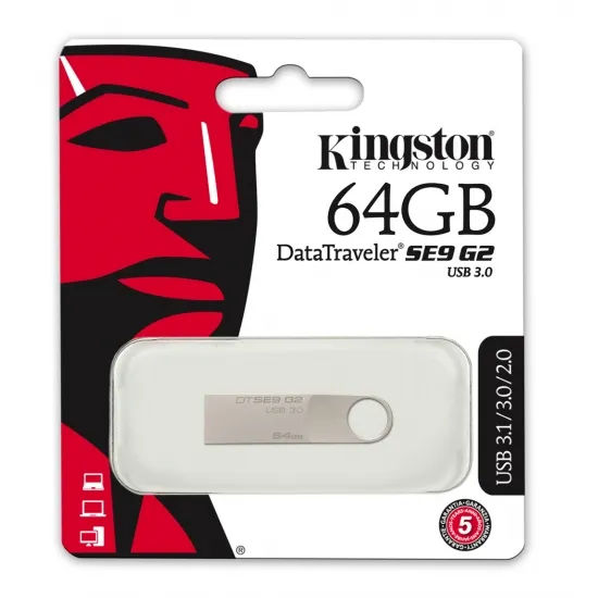 USB Flash накопитель Kingston DataTraveler SE9 G2, 64Гб, Серебристый