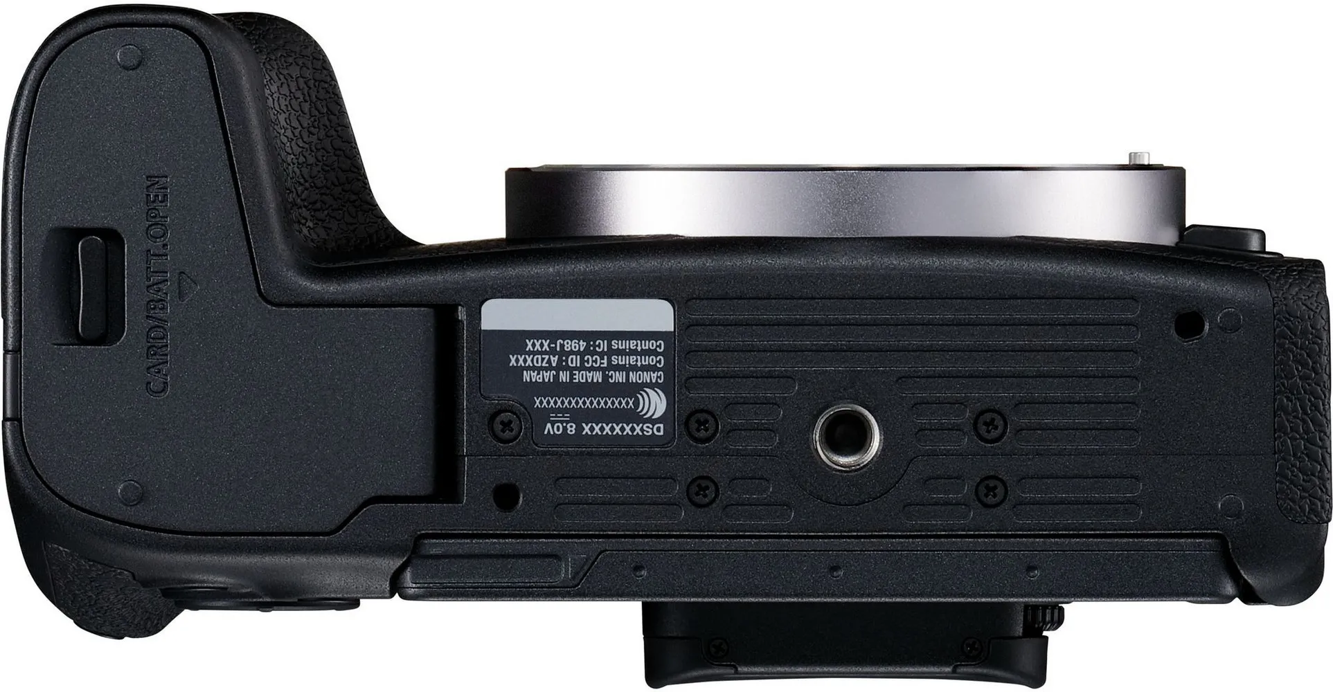 DC Canon EOS RP & RF 24-105mm f/4L IS USM