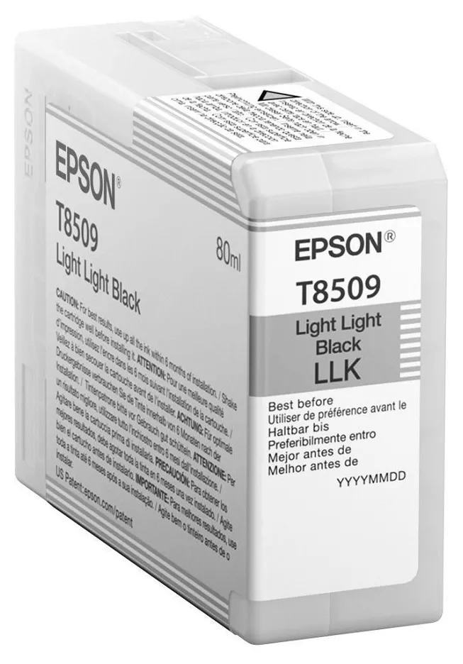 Cartuș de cerneală Epson T850 UltraChrome HD, 80ml, Negru deschis 