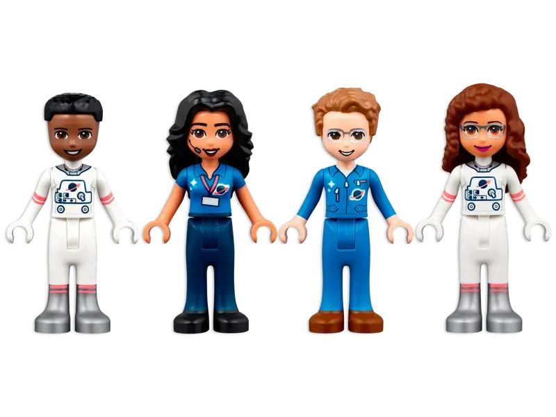 Constructor LEGO 41713, 8+