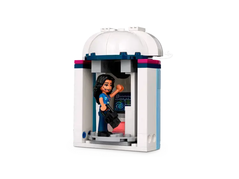 Constructor LEGO 41713, 8+