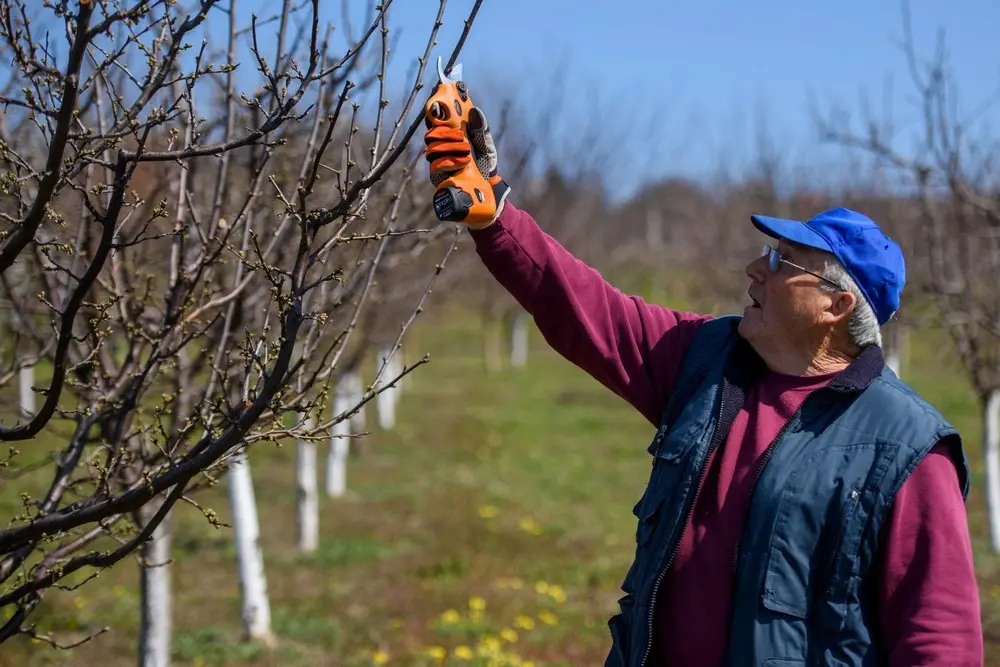 Foarfeca de gradina cu acumulator Villager VBP 20