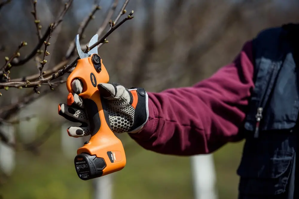 Foarfeca de gradina cu acumulator Villager VBP 20