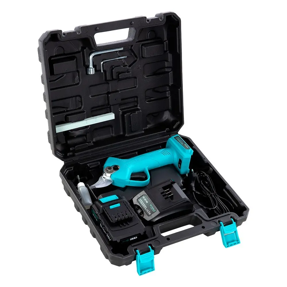 Садовые ножницы с Аккумулятор Detoolz 20В 2Ач