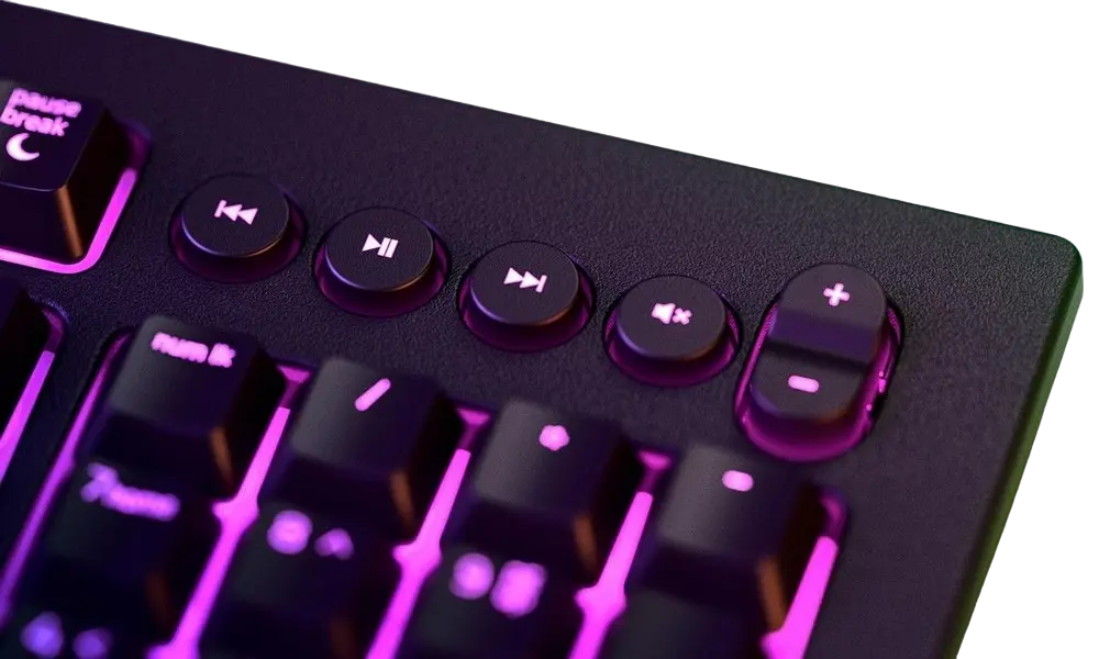 Клавиатура Razer Razer Cynosa V2, Проводное, Чёрный